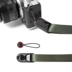 Leash