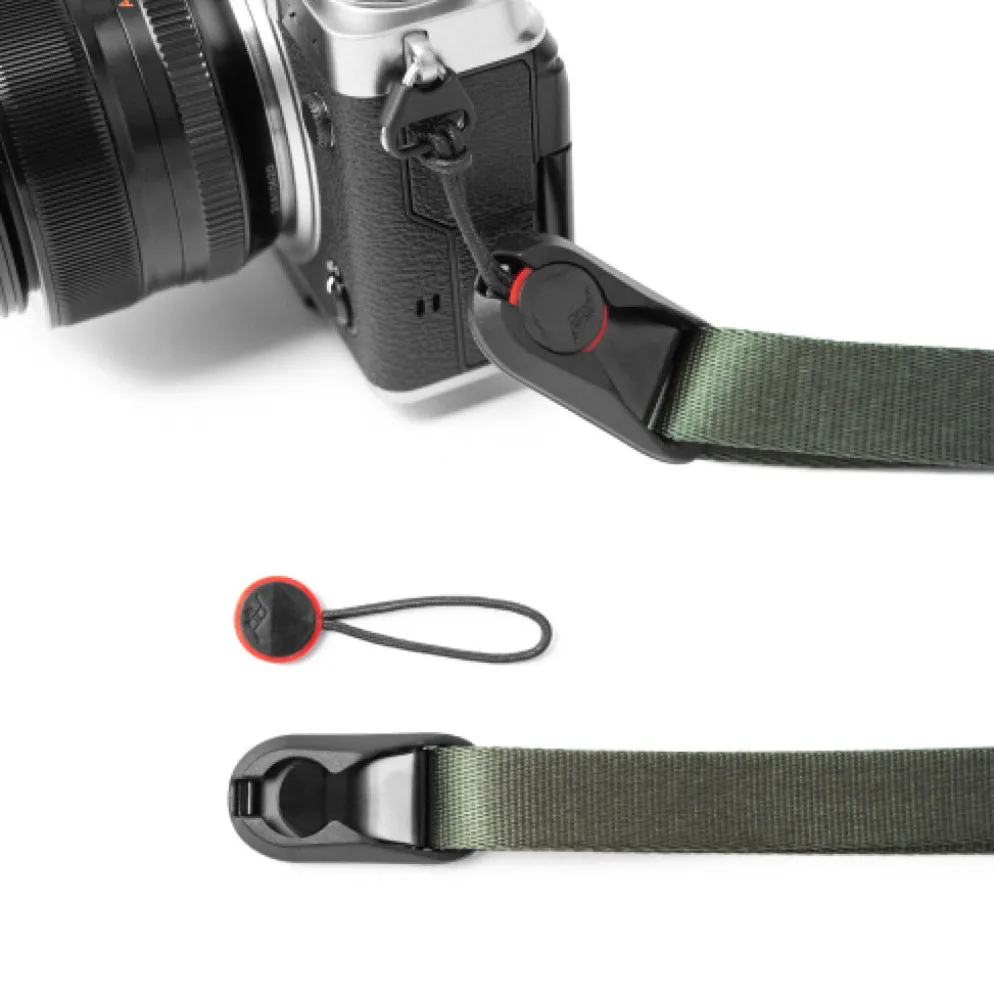 Leash