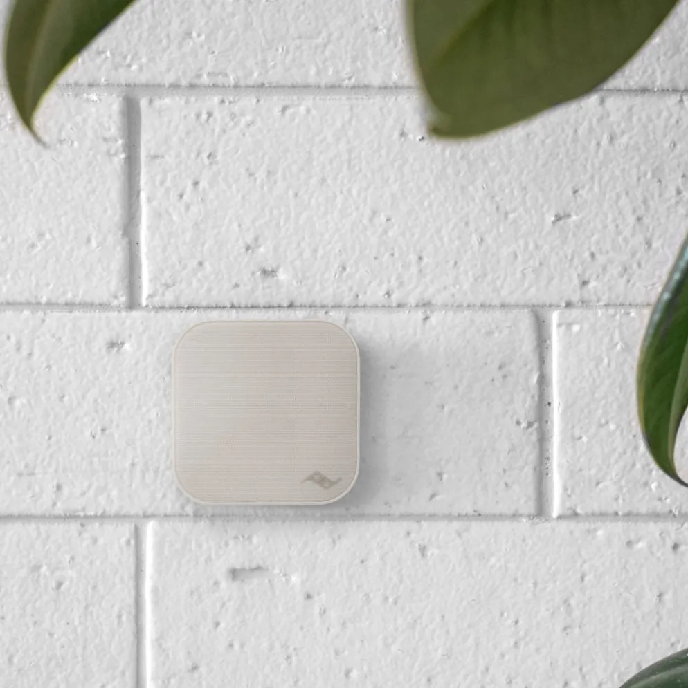 Wall Mount
